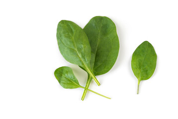 Spinach leaves isolated on white