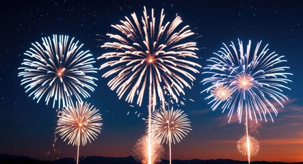 Fireworks Against a Night Sky with Blank Space for Text