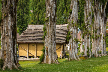 Fototapete bei efototapeten.de bestellen   
