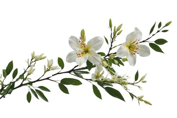 Watercolor of Tropical spring floral green leaves and flowers s isolated on transparent png background, bouquets greeting or wedding card decoration, with Generative Ai.