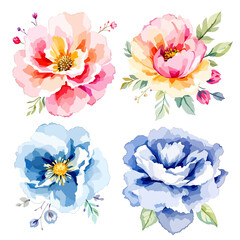 floral arrangement, round bouquet, flowers design elements, watercolor clip art isolated on white background