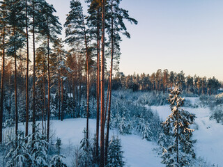 A serene winter landscape unfolds as the sun rises over a snow-covered forest