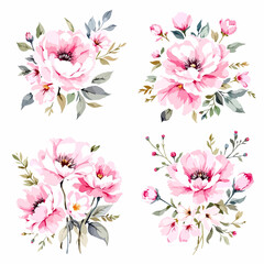 Watercolor pink flowers and buds and green leaves Illustrations 