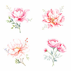 Watercolor wildflower set with daisies, forget-me-nots, cornflowers, poppies, bellflowers, and clover in botanical illustration © Watercol