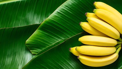 banana leaf background