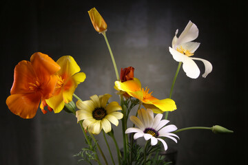 Bright multi-colored beautiful flowers. Floral wallpaper.