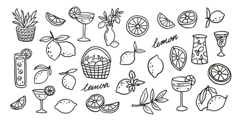 Lemon fruit related doodle sketch collection vector illustration. Summer modern graphic elements set.