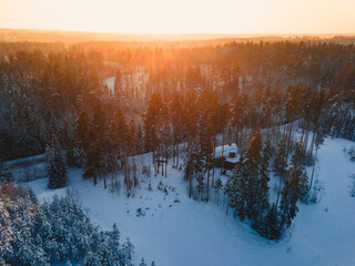 Fototapeta premium Captivating view of a vast snow-covered forest showcasing evergreens blanketed in white. Sunlight gently illuminates the landscape, creating a peaceful winter ambiance.