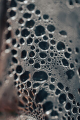 Water droplets gathered on a surface covered in fine textures. Abstract natural texture.