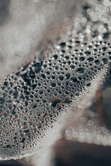 Water droplets gather on a surface covered in fine textures, glistening in soft light after recent rain. Small plants are visible in the background, enhancing the natural ambiance.