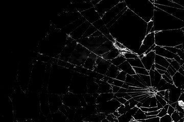 cobweb on a dark background