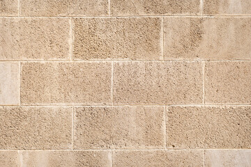 Muro di carparo - dettaglio