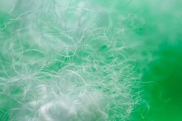 Extreme macro of polyester stable fiber on green background. Selective focus, shallow depth of field. Abstract dreamy background