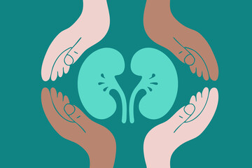 Illustration. Caring Hands Protecting Kidneys Organ Donation Awareness
