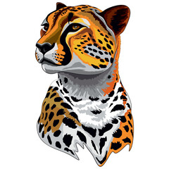 Cheetah Wild African Feline Animal Portrait vector illustration isolated on white 