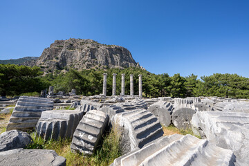 Priene, an Ionian city situated on the ancient mouth of the Maeander, with its port at Naulochon. 