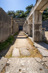 Priene, an Ionian city situated on the ancient mouth of the Maeander, with its port at Naulochon. 