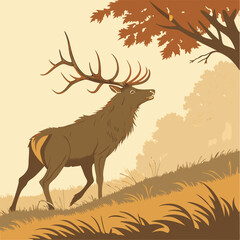 Majestic red deer stag with large antlers in autumnal forest fall buck horn woods animal nature