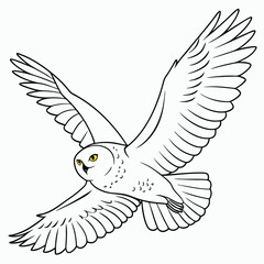Majestic snowy owl in flight wings spread wide detailed view bird wild avian white winter nature