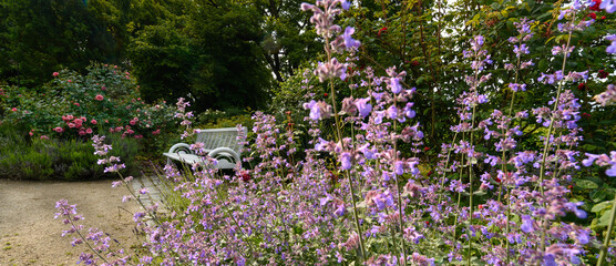 Im Park der Rosengarten blüht , eine Bank steht in den Blüten