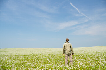 Man in yellow wheat meadow