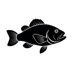 fish isolated on white