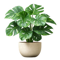 Artificial Monstera plant in a textured pot on a white background  
