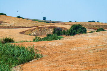 Obraz premium summer countryside landscape with the midday light inside Val D'Agri, Basilicata
