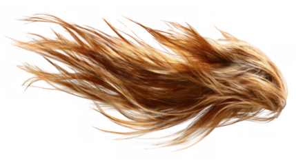 Long, flowing red hair streaming upwards against a transparent background, evoking a vibrant sense of movement and freedom, embodies beauty and elegance in motion