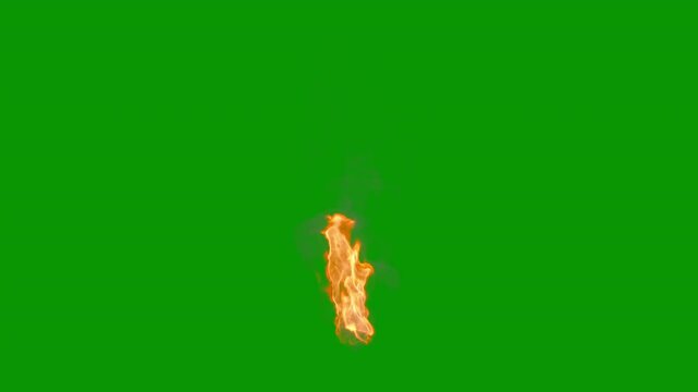 Loop of real fire, slowmo & regular, 4k 30p, green for transparency, The loop let's you make whatever duration you need & the slow motion allows you to speed it up or keep it slow with no quality loss