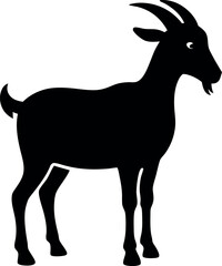 Fototapeta premium black goat isolated on white