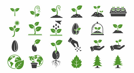 Growth Stages Plant Life Cycle Vector Icon Illustration