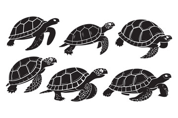 Set of Turtle line art