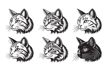 Set of Cat line art