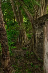 Picture of Armero, a former town engulfed by the pyroclastic flows erupted from the Nevado del Ruiz volcano crater. 
