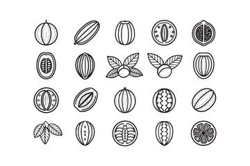Set of Fruit line art 
