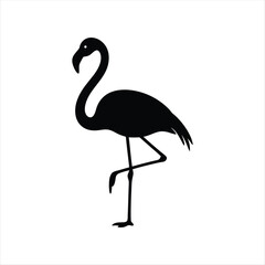 Silhouette of Flamingo Standing on One Leg Isolated on White Background