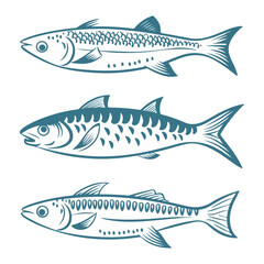 fish vector isolated on white background,fish, sea, animal, fishing, vector, illustration,set.