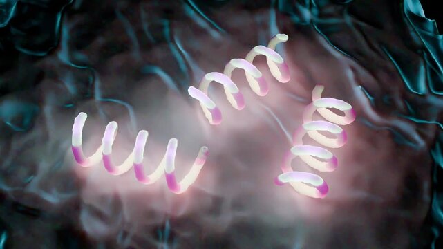 Treponema pallidum: The Syphilis-Causing Bacterium