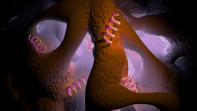 Treponema pallidum: The Syphilis-Causing Bacterium