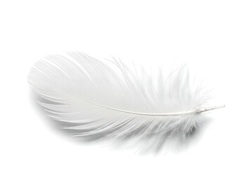 Obraz premium Close up of a single white feather on white