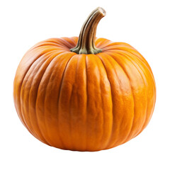 Obraz premium pumpkin isolated on white background