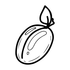 Plum on a branch with a leaf. Hand drawn doodle vector. Summer sweet tree fruit. Seasonal vitamins. Fresh organic food. Berry with a stone inside the pulp. Illustration line art element.