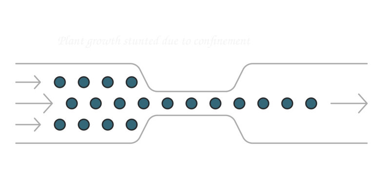 Business Process Optimization: A visual representation of a business process, showcasing efficiency and streamlining, with data points flowing through a bottleneck.