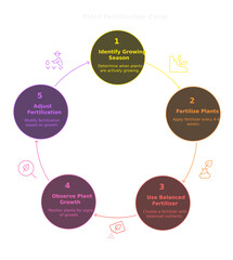 Plant Fertilization Cycle: An illustrative diagram showcasing the step-by-step process of fertilizing plants, from identifying the growing season to adjusting the fertilization schedule.