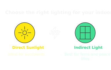 Lighting Choices: A guide illustrating the difference between direct sunlight and indirect light using simple icons.