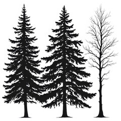 Two evergreen trees and a bare tree isolated on transparent background, stand in stark silhouette against a white canvas