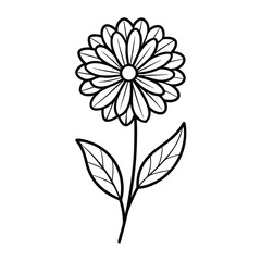 vector illustration of a calendula  flower