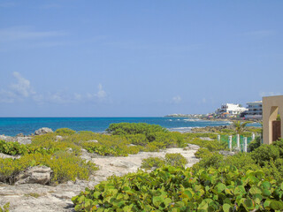 Fototapeta premium Caribe mexicano, mar del caribe