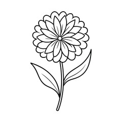 calendula line art line art on white-background (1)